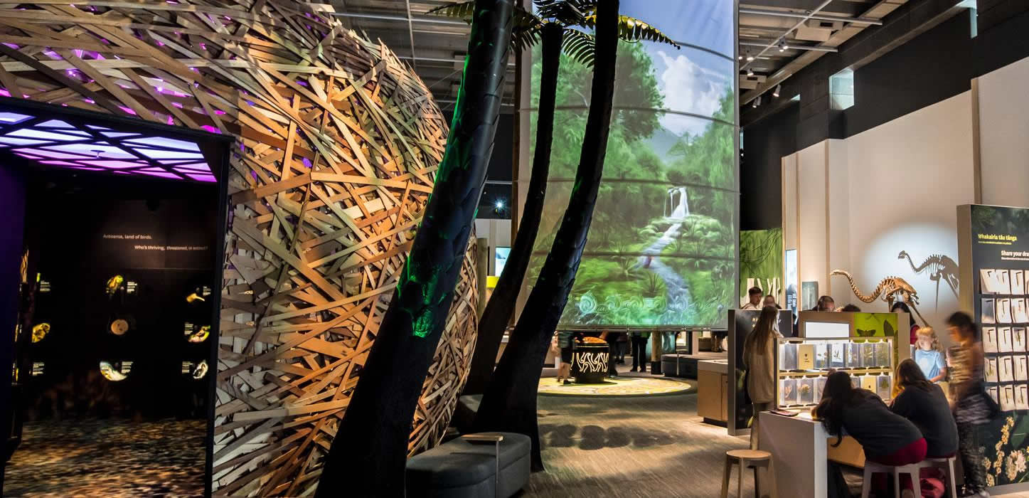 Te Papa_Body4